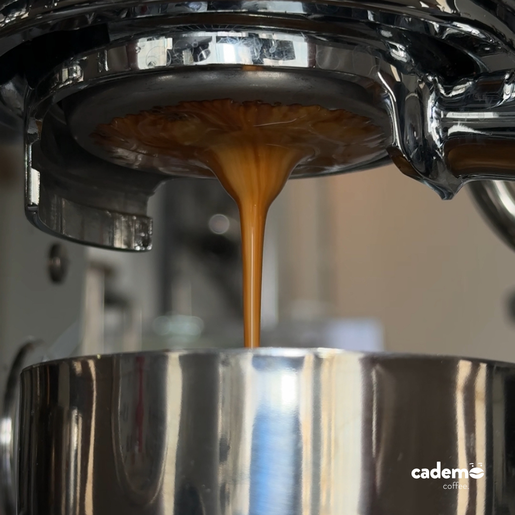 Oemah Madu | Honey natural omni roast | Cademo Coffee | Single origin 250gr