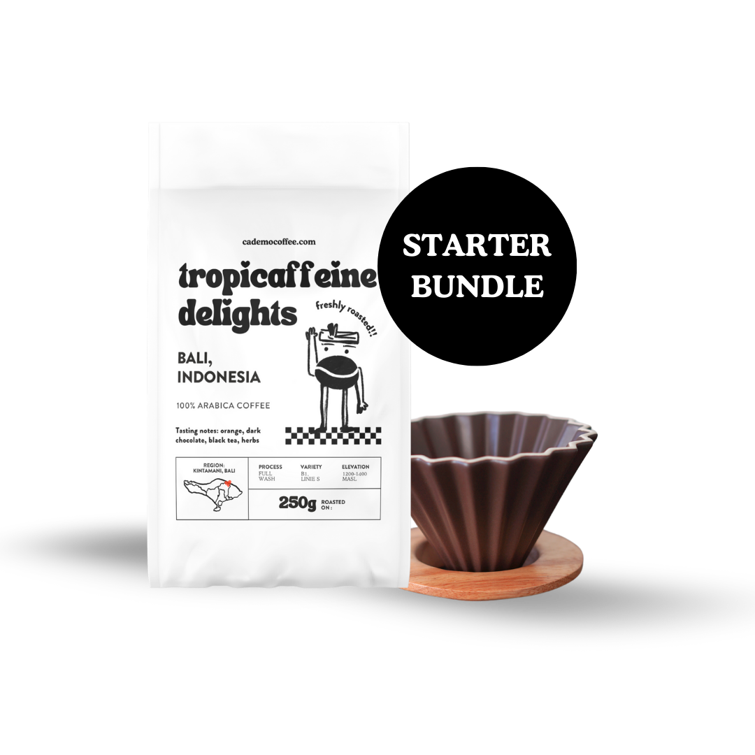 Slow Bali Coffee Bundle | Arabica whole coffee bean and V60 dripper set